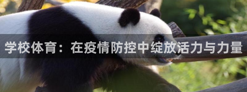 77体育官网