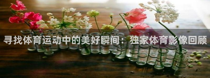 77体育：寻找体育运动中的美好瞬间：独家体育影像回顾