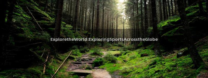 77体育官网：ExploretheWorld:ExploringSportsAcrosstheGlobe