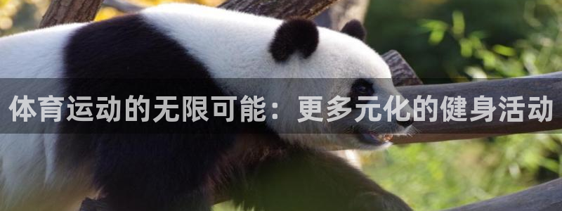 77体育：体育运动的无限可能：更多元化的健身活动
