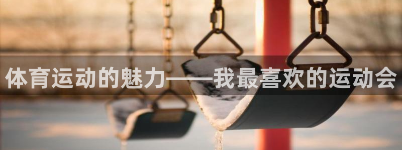 77体育官网：体育运动的魅力——我最喜欢的运动会