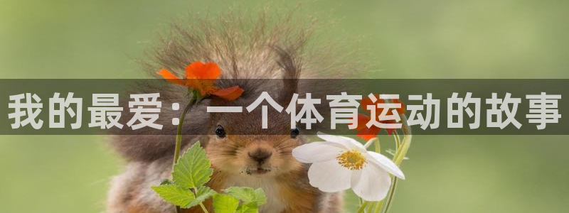 77体育：我的最爱：一个体育运动的故事